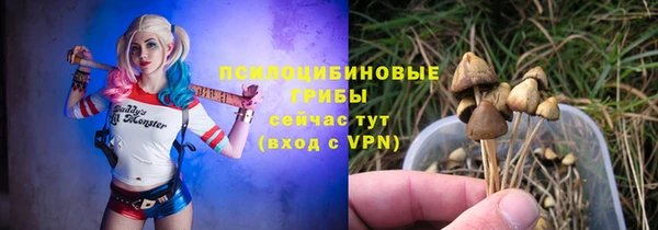 сатива Алзамай