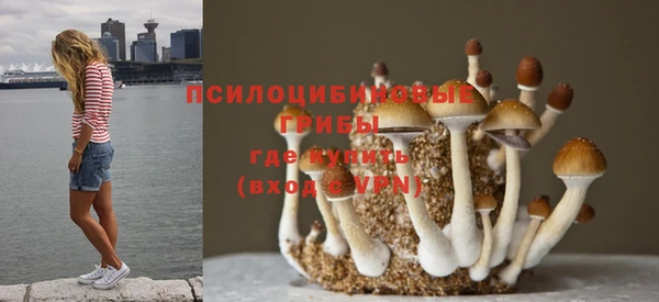 не бодяженный Горняк
